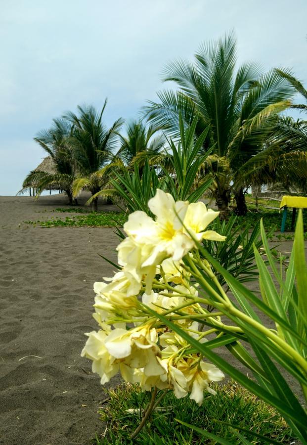 Eco-Hotel Playa Quilombo Las Lisas Екстериор снимка
